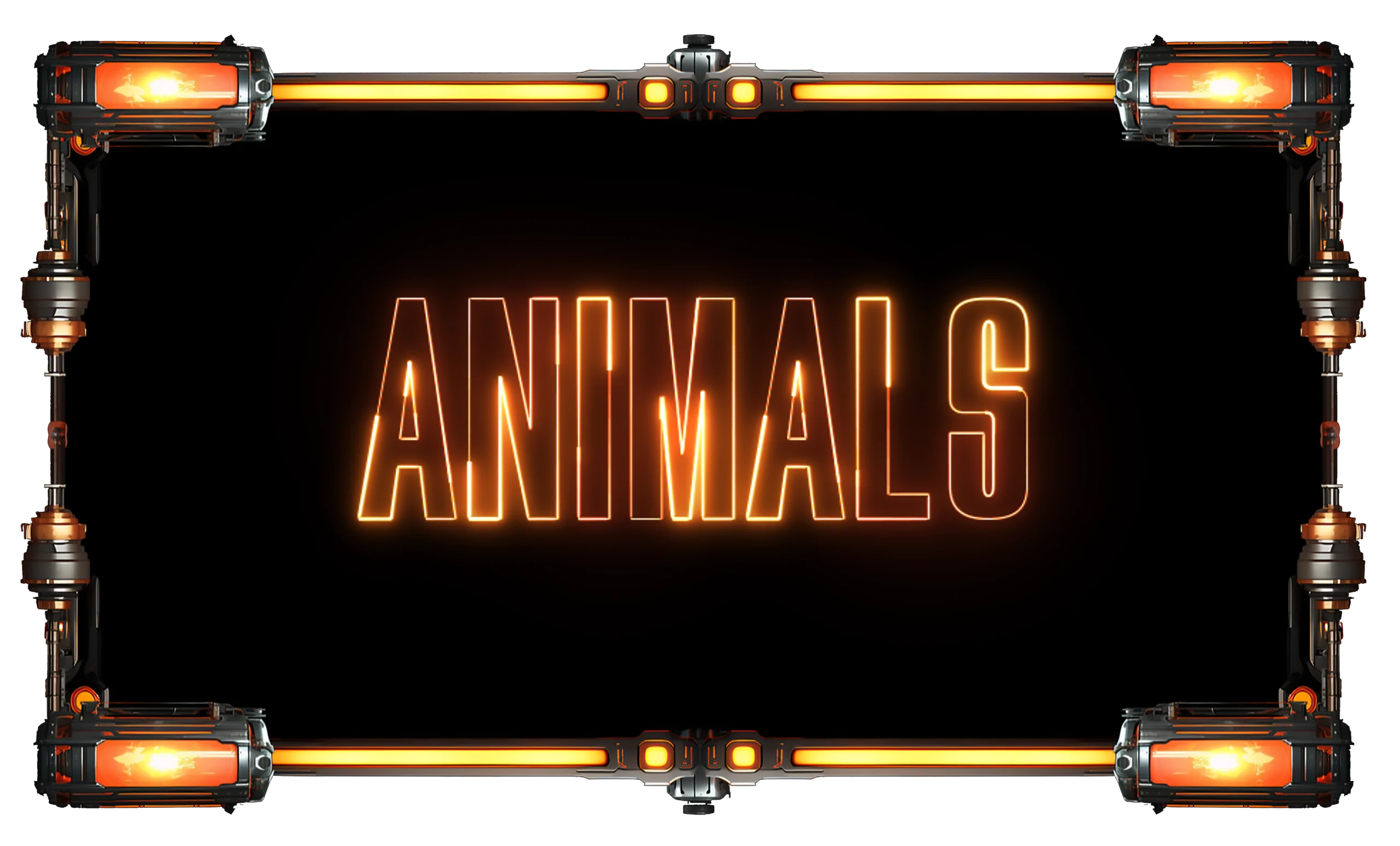 Animals